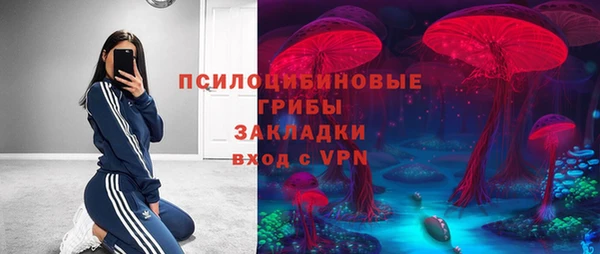 ALPHA PVP Тобольск