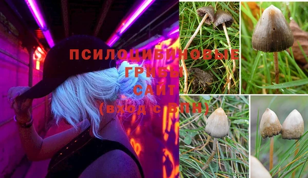 наркотики Богородицк