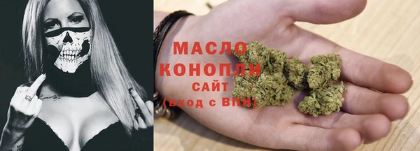 молекула духа Богородск
