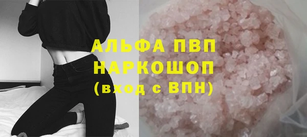эйфоретик Богданович