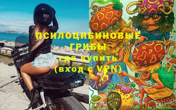 эйфоретик Богданович