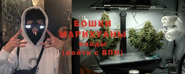 эйфоретик Богданович